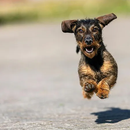 Szálloda - The Niu, Sparrow By Ihg Regensburg