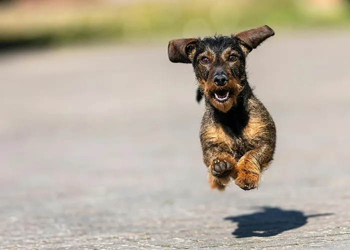 Szálloda - The Niu, Sparrow By Ihg Regensburg